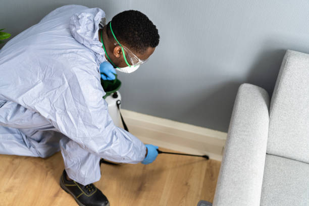 Reliable Keansburg, NJ Pest control Solutions